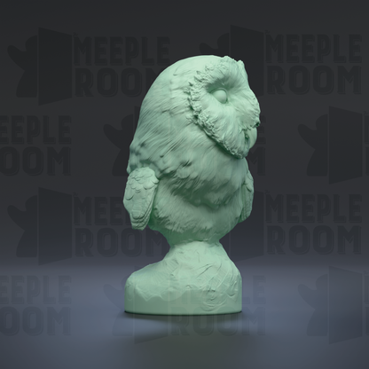 1-4_AmericanBarnOwl-Bust_02_right_a.png