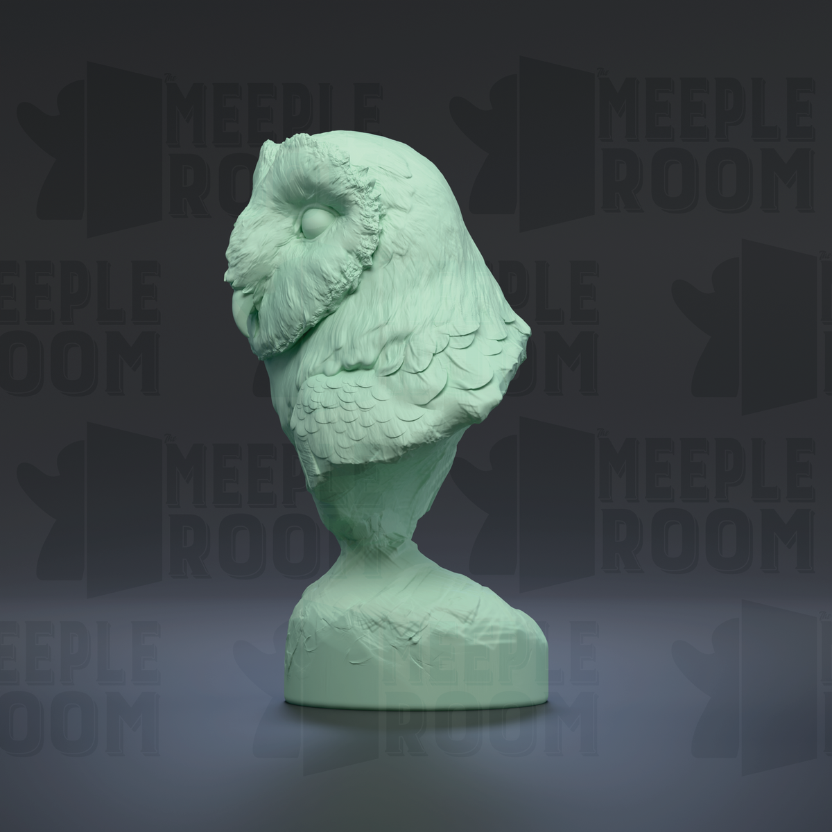 1-4_AmericanBarnOwl-Bust_04_left.png