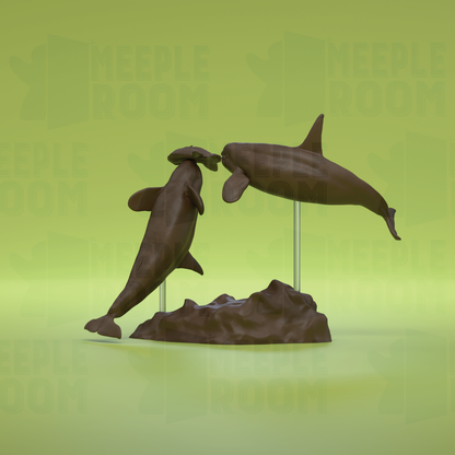 1-76_OrcasAndOceanSunfish_03_back.png