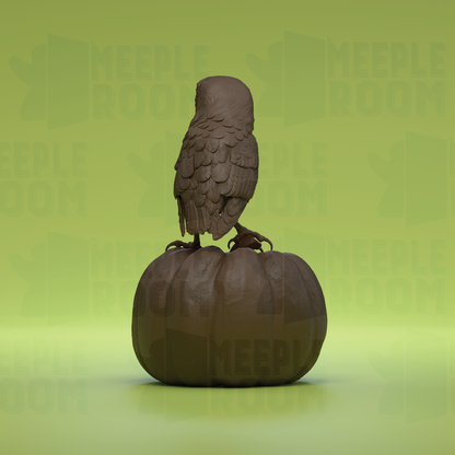 1-8_AmericanBarnOwl_PoseJackOLantern_03_back.png