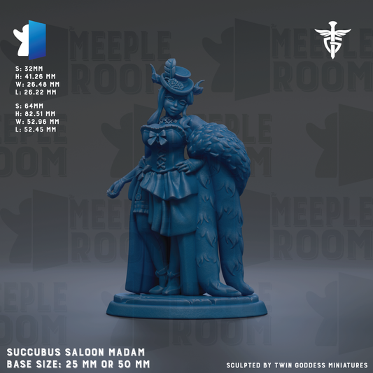 a figurine of a woman dressed in a costume, possibly representing a character from a fantasy or mythology setting. The figurine is described as a "succubus saloon madam" and is shown in various sizes, including 25mm and 50mm. The background of the image is a dark gray color, and the text "MELLOW ROOM" is visible, suggesting that the figurine is part of a larger collection or series.