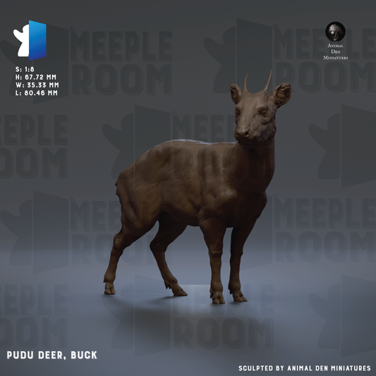 A 3D model of a deer, specifically a pudu deer, with the name "Pudu deer, Buck" and the title "Animal den miniatures" below it.