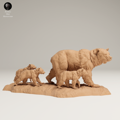 a mother bear and her two cubs on a rock