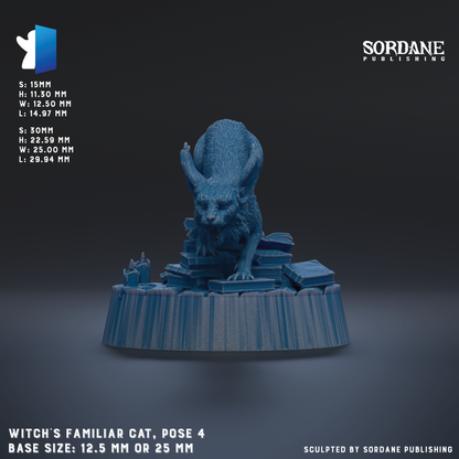 The image is a 3D rendering of a figurine of a cat, specifically a witch's familiar cat, posed on top of a stack of books. The base size of the figurine is either 12.5 mm or 25 mm.