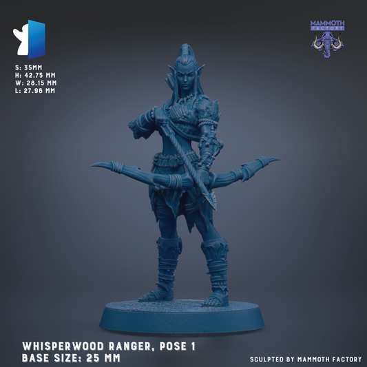 A 3D model of a Whisperwood Ranger, a fantasy character with a blue and silver color scheme, posed in a dynamic stance with a bow and arrow. The base size of the figure is 25 mm.