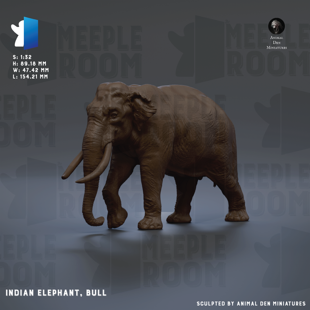 The image is a 3D rendering of an Indian elephant, specifically a bull, with the text "MEIPLE ROOM" and "INDIAN ELEPHANT, BULL" printed on it.