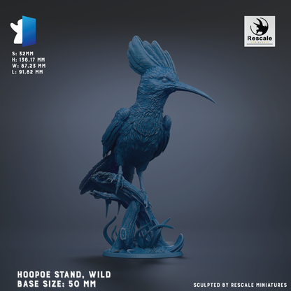 A 3D model of a blue bird, likely a hoopoe, standing on a branch. The bird is depicted in a detailed and realistic manner, with its beak and wings clearly visible. The image is described as a Hoopoe Stand, Wild Base Size: 50 mm, and it is sculpted by Rescue Miniatures.