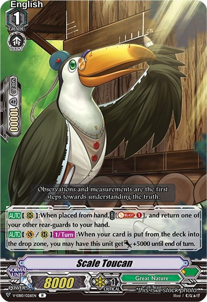 Scale Toucan
