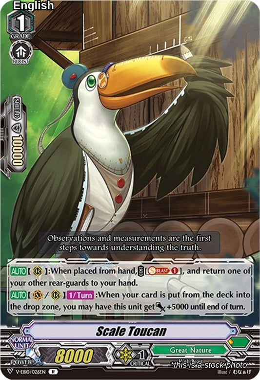 Scale Toucan