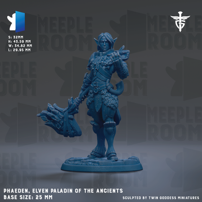 A figurine of an elf-like character, likely a paladin, standing in a fighting stance with a large weapon in hand. The figurine is described as being in the size of 25mm and is made of a blue material. The background of the image is a dark gray color, and there are repeated texts and logos throughout the image.