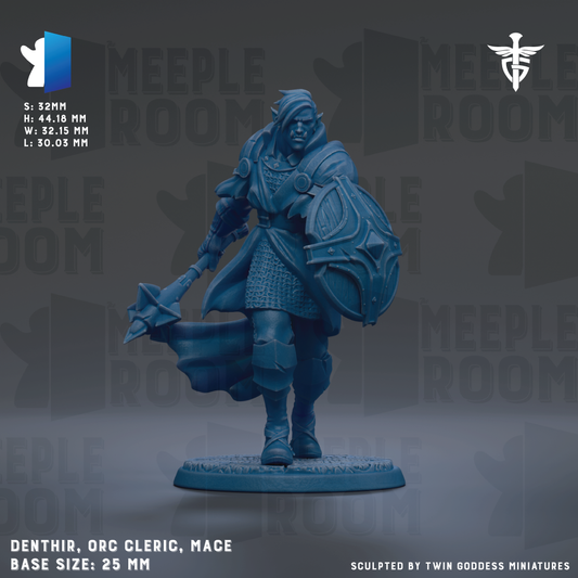 The image is a detailed 3D model of a character from the video game Meeple Room, depicting a warrior with a shield and sword. The character is standing on a base and is described as having a base size of 25mm. The image is a collage of various images, and it is not a single image but a collection of images that make up the entire scene.