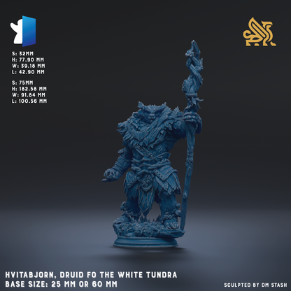 HVITABJORN, DRUID FO THE WHITE TUNDRA