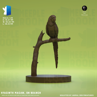 Hyacinth Macaw by Animal Den Miniatures | Miniature | TTRPG | Unpainted | Print on Demand