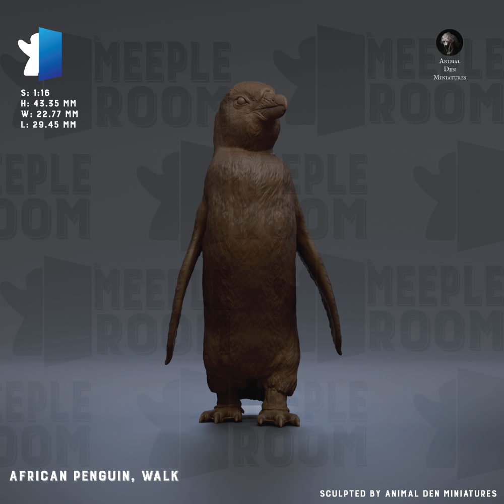 The image is a 3D rendering of an African penguin, specifically a walk penguin, standing on a gray background.