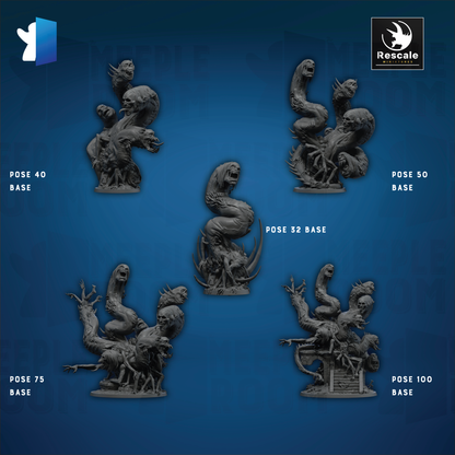 32_FalseHydra_PoseGroup.png