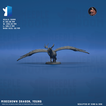32_MirecrownDragon_PoseYoung_Hero.png