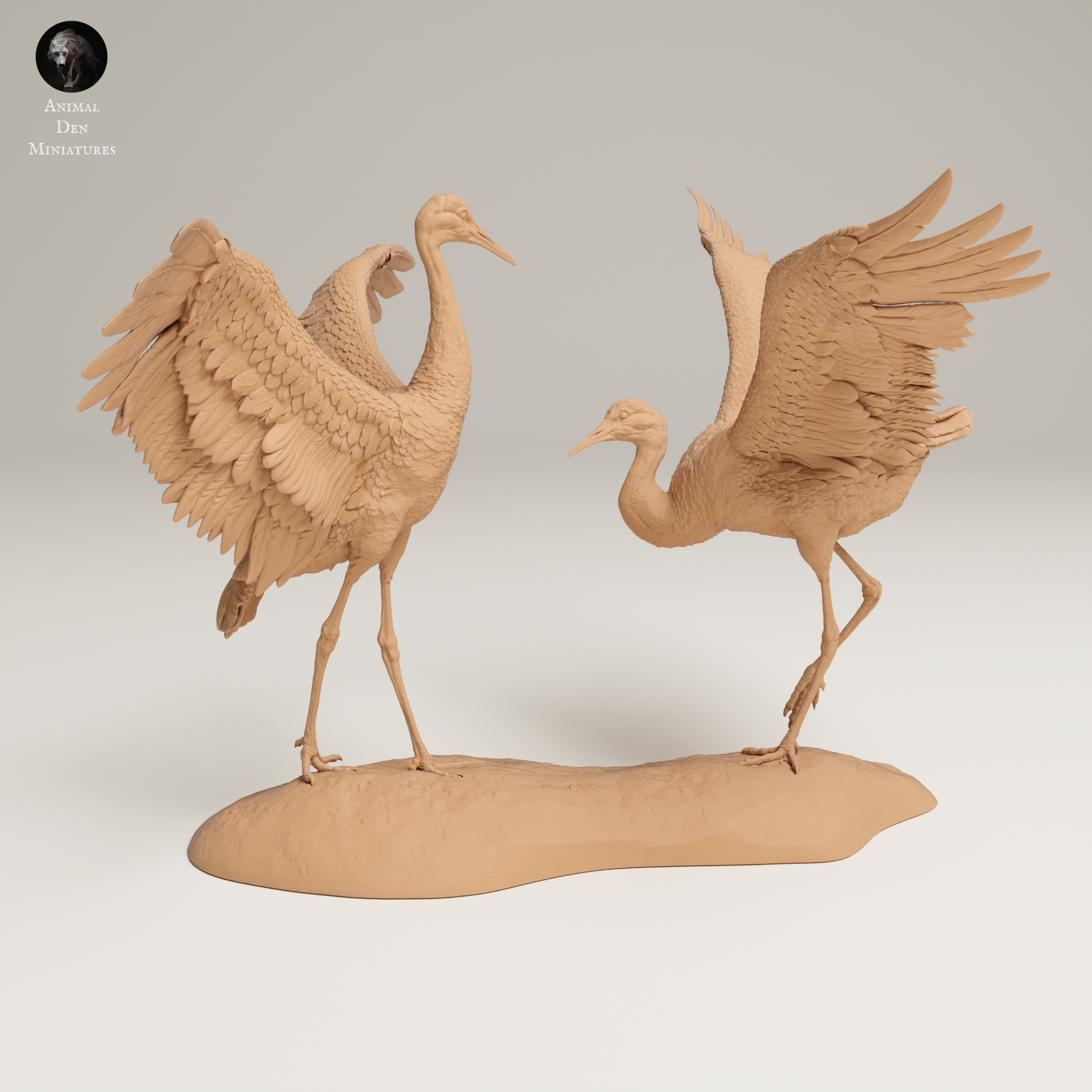 a couple of birds standing on top of a sandy beach