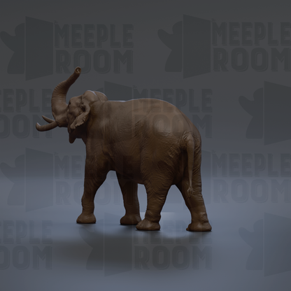 A 3D rendering of a brown elephant standing on a gray background with the text "MEUPLE ROOM" repeated multiple times.