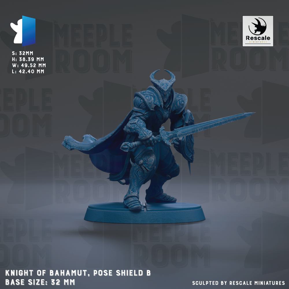 Knight of Bahamut, pose shield B
