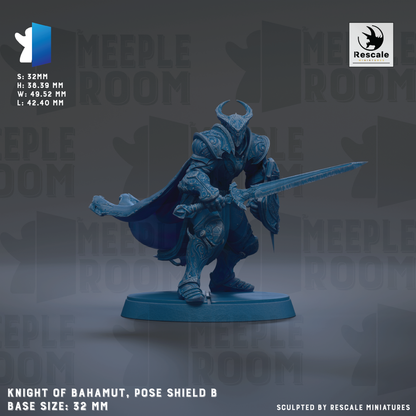 Knight of Bahamut, pose shield B