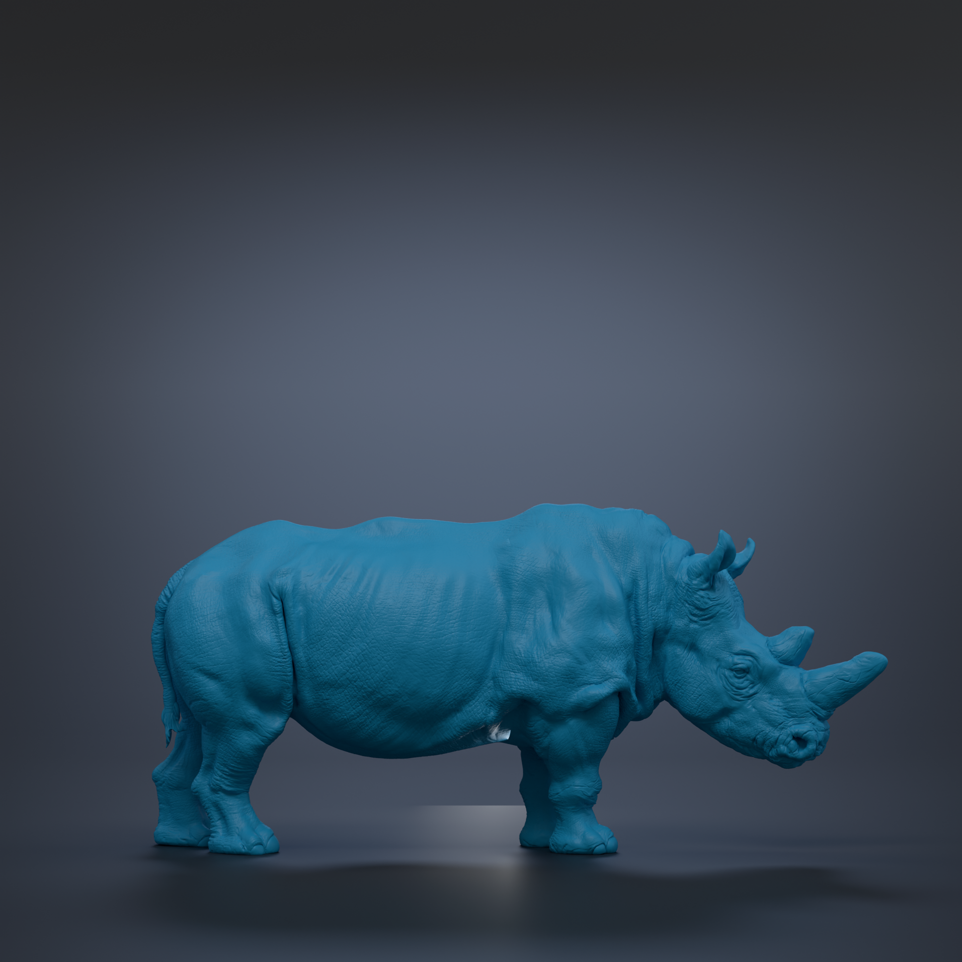 A blue rhinoceros statue is standing on a dark surface against a dark background.