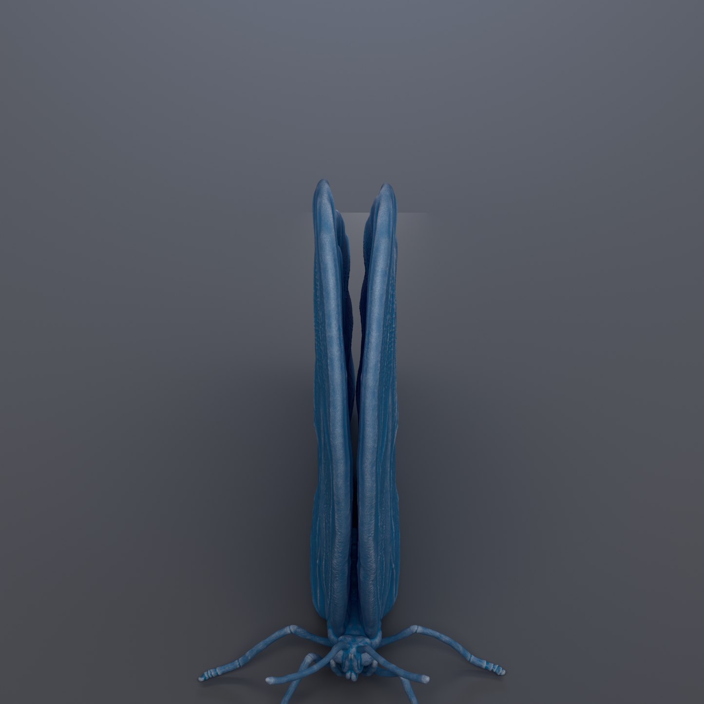 A blue, three-dimensional insect with long, thin legs is shown against a dark background.