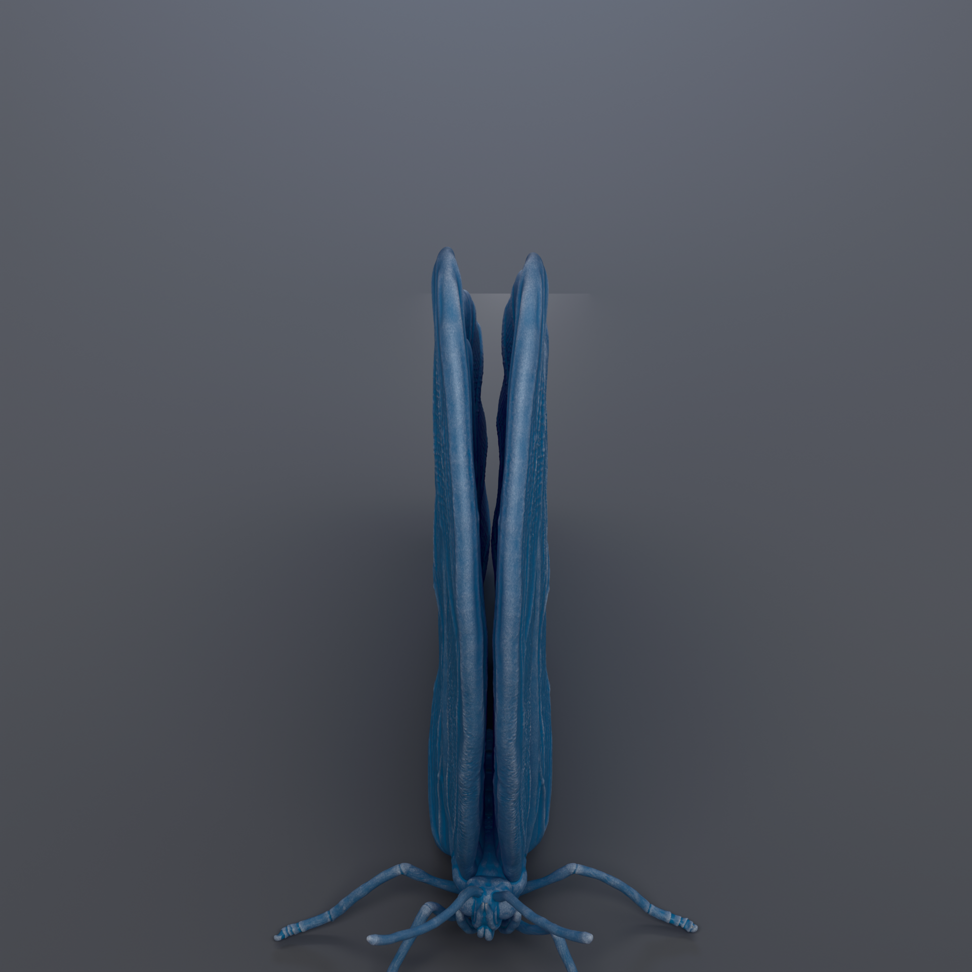 A blue, three-dimensional insect with long, thin legs is shown against a dark background.