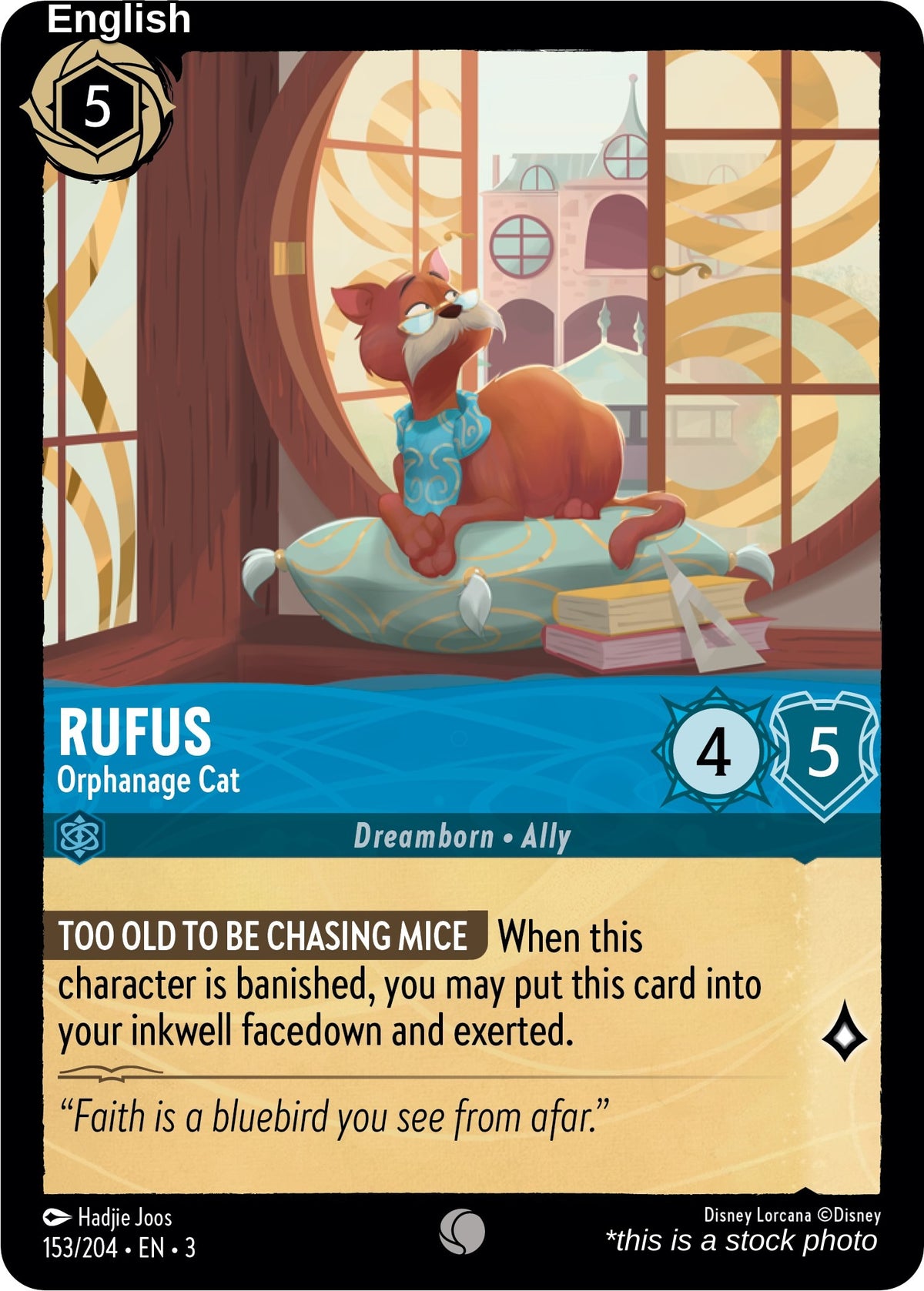 Rufus - Orphanage Cat