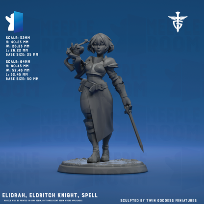 Elidrah, Eldritch Knight by Twin Goddess Miniatures | Miniature | TTRPG | Unpainted | Print on Demand