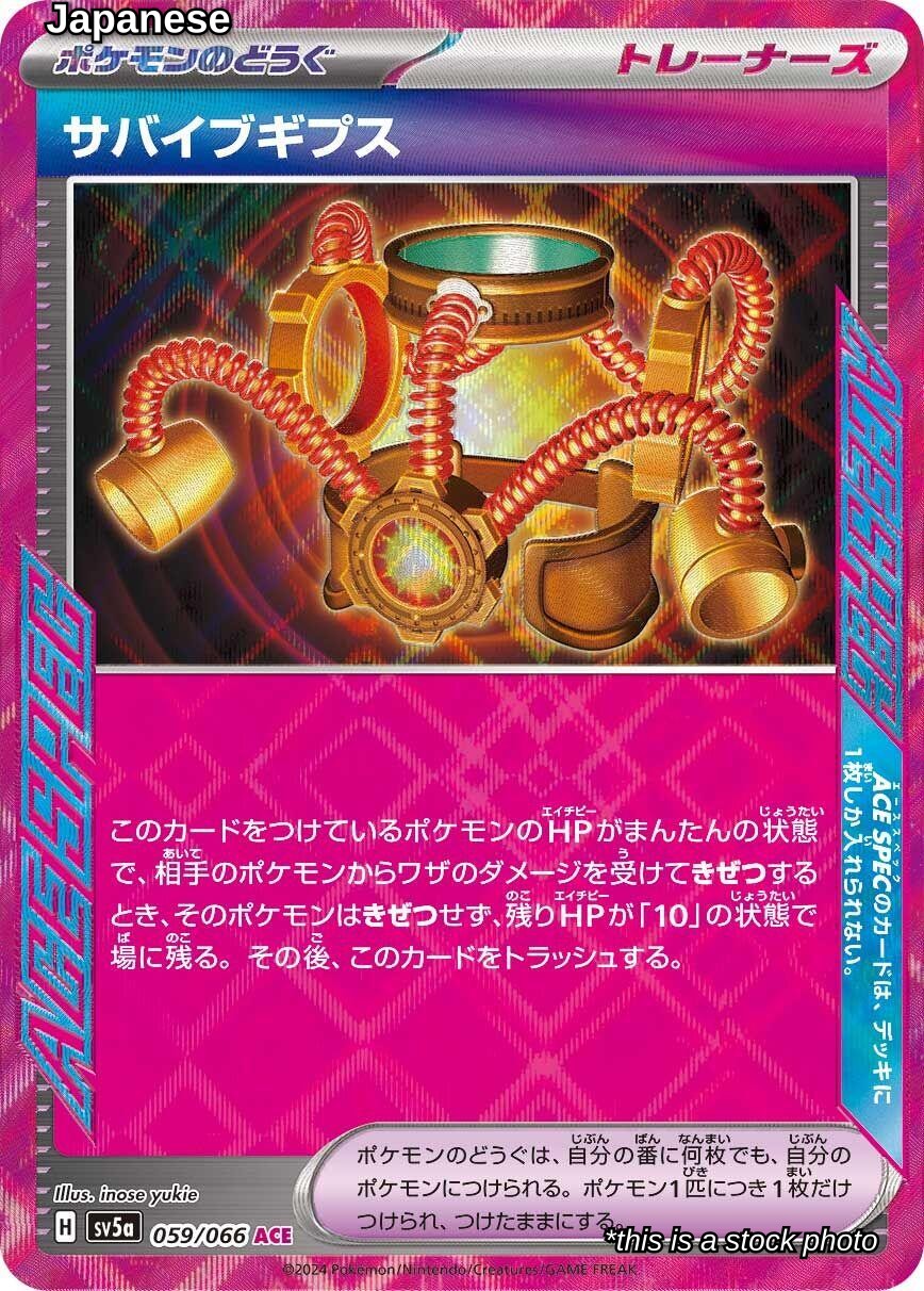 Survival Brace