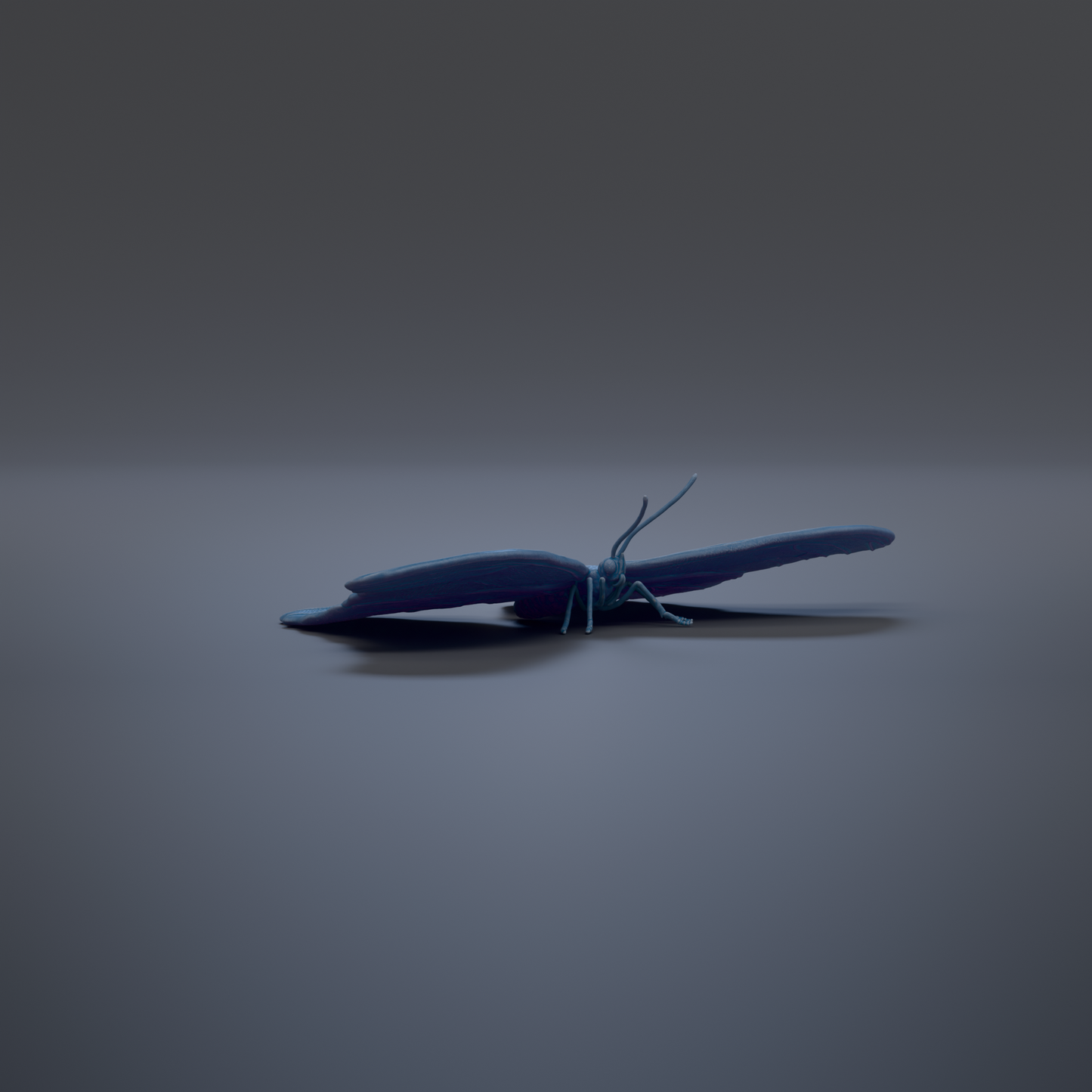 A blue butterfly with outstretched wings is the central focus of the image, set against a dark background.