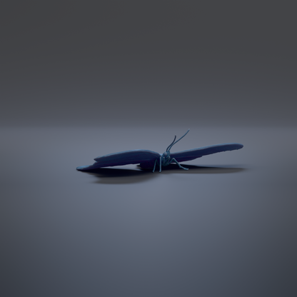 A blue butterfly with outstretched wings is the central focus of the image, set against a dark background.