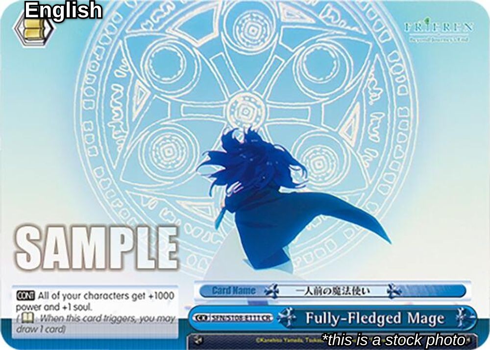 Fully-Fledged Mage