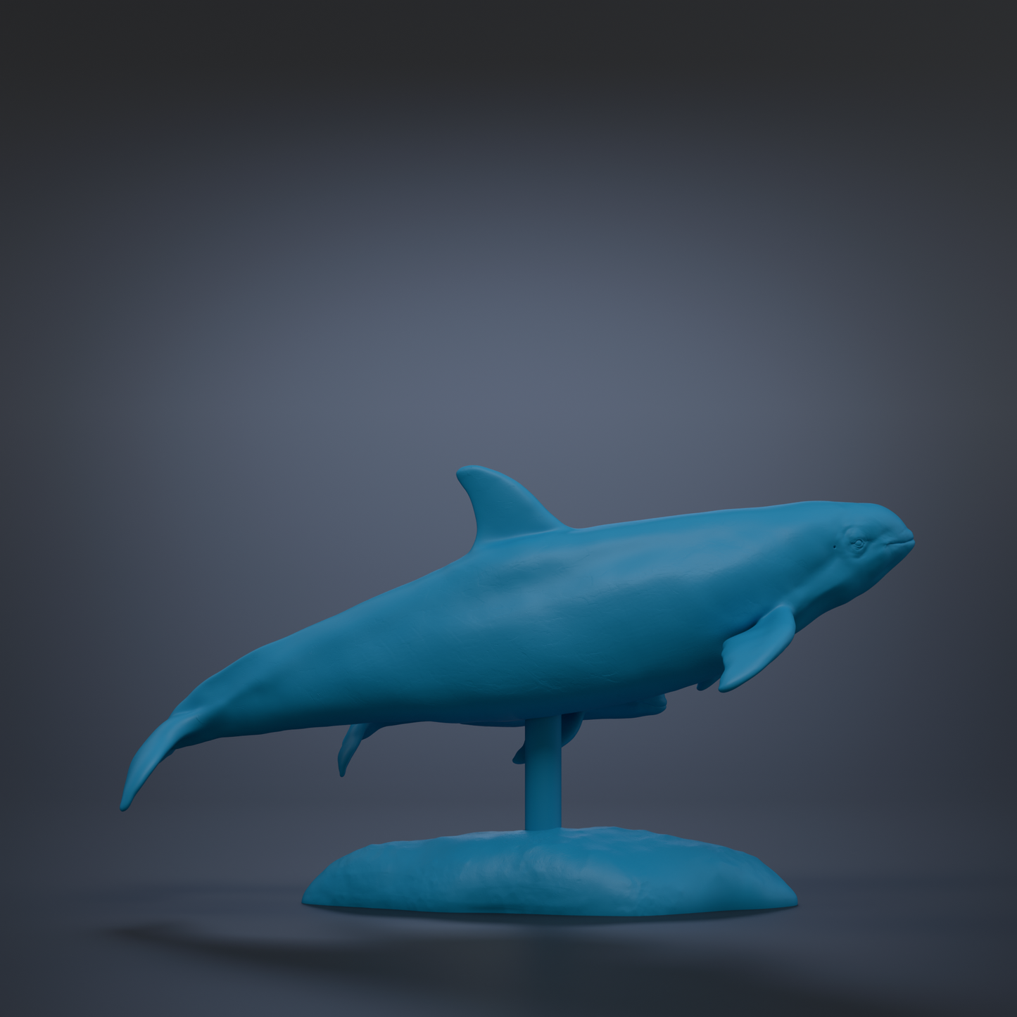 A blue plastic model of a dolphin is displayed on a stand against a dark background.