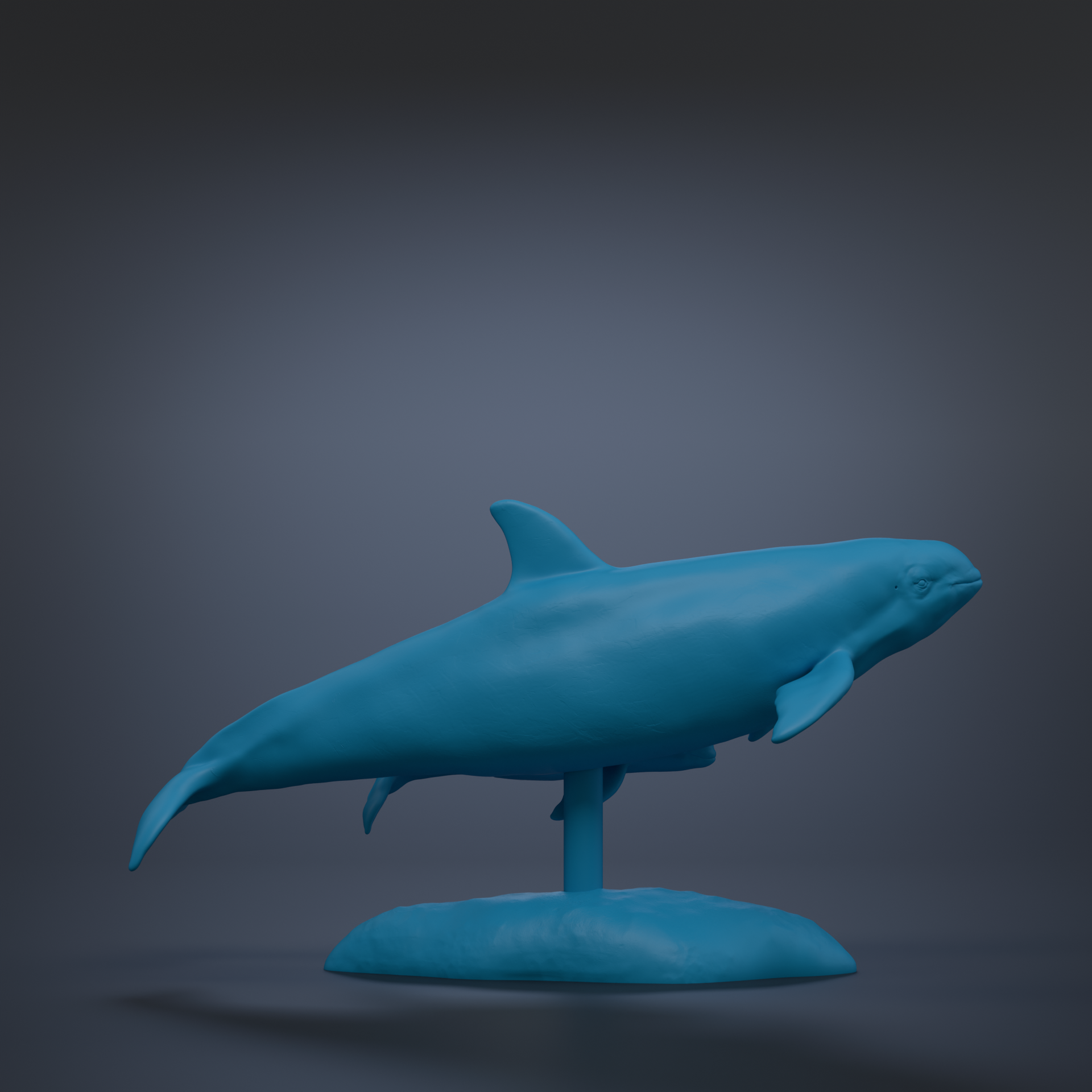 A blue plastic model of a dolphin is displayed on a stand against a dark background.