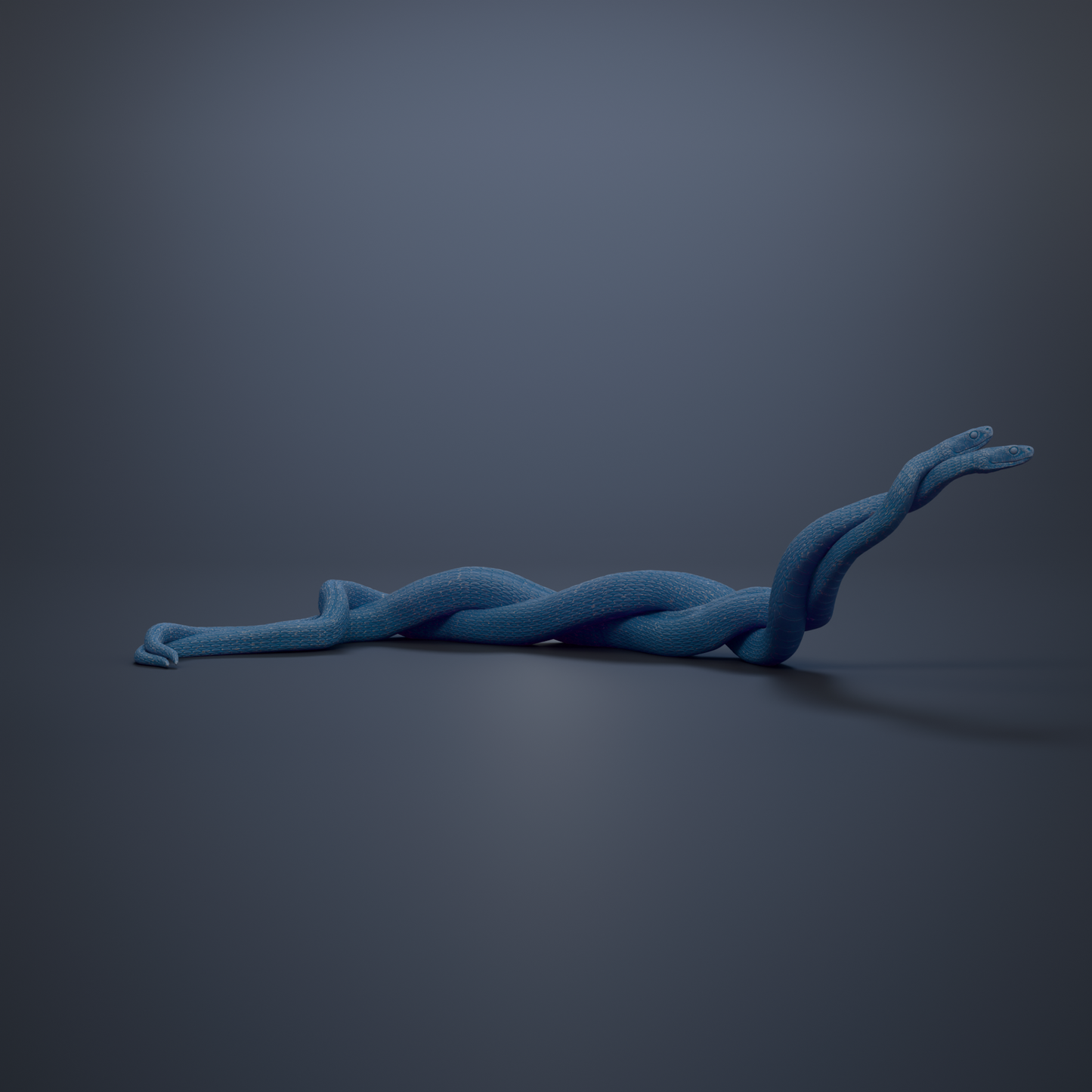 A blue snake coiled in a twisted manner, with its body partially obscured by the other snake's body.