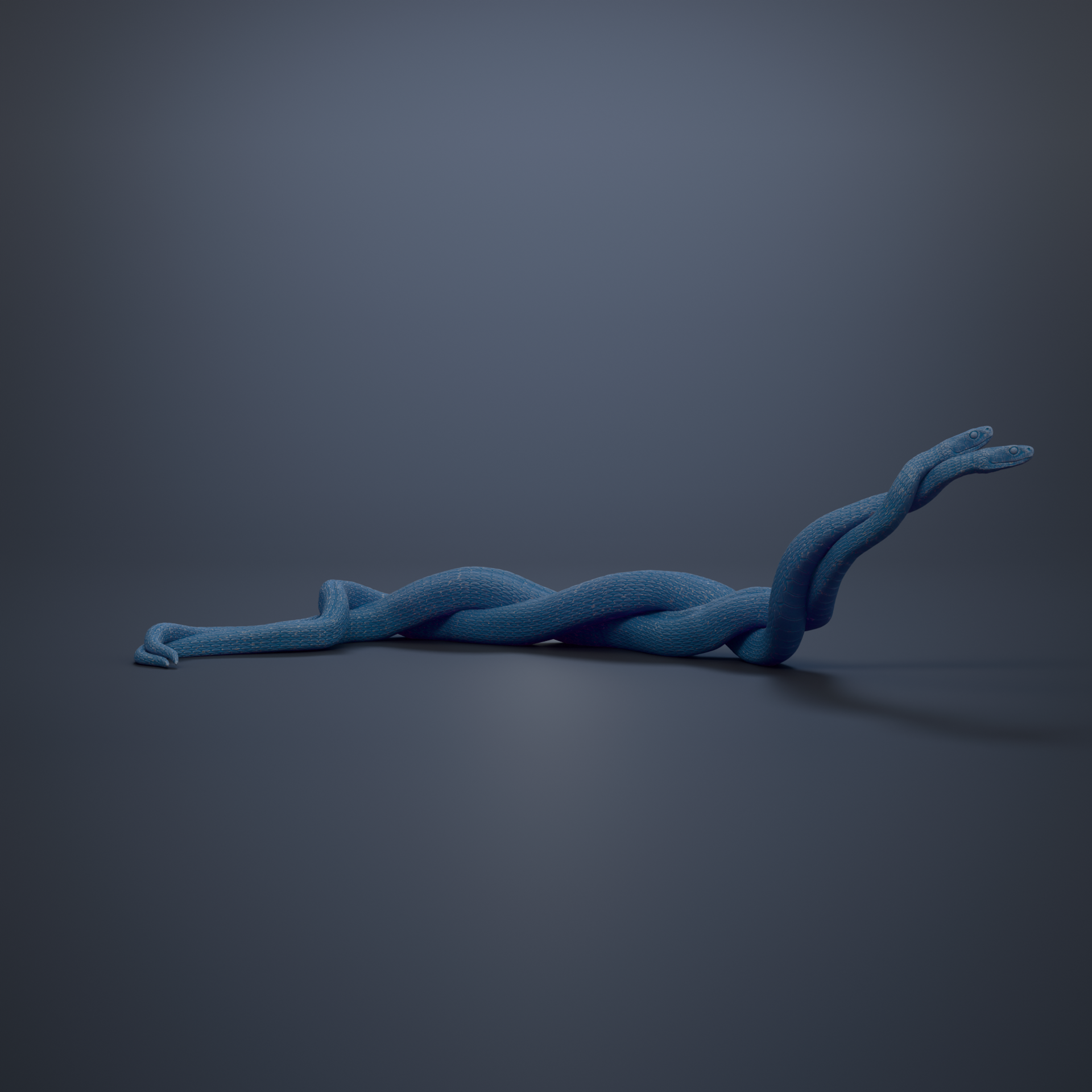 A blue snake coiled in a twisted manner, with its body partially obscured by the other snake's body.