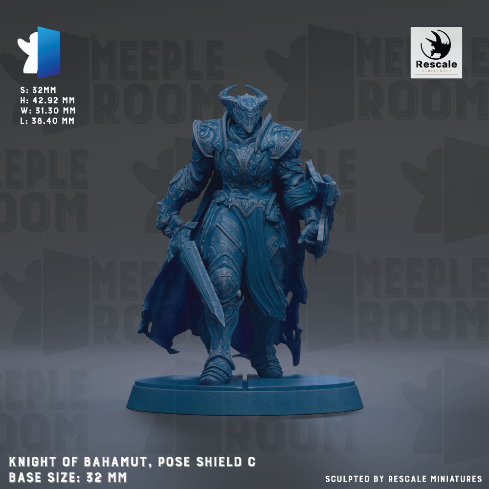 a knight of Bahamut, pose shield C, with a base size of 32mm.