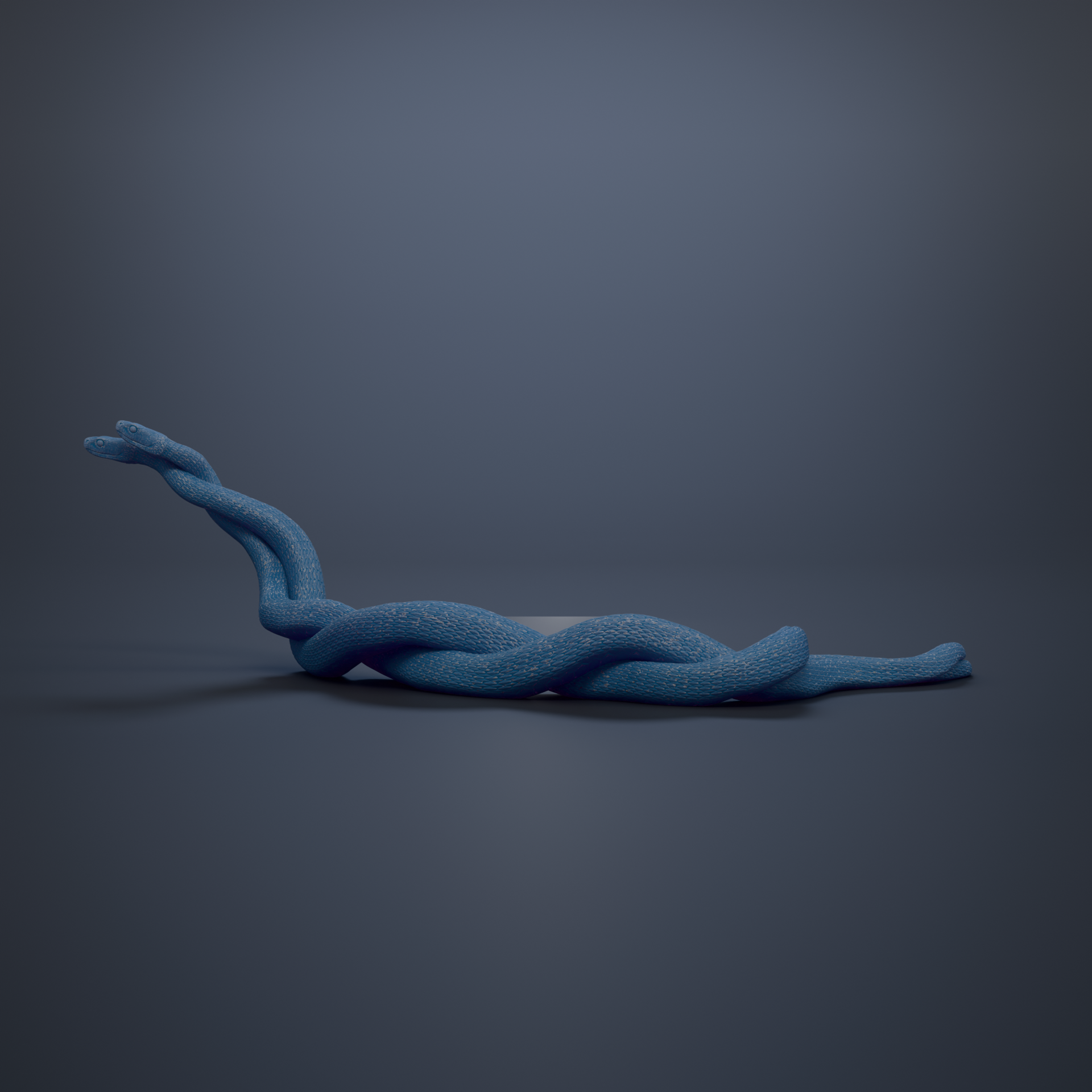 A blue, twisted, and coiled snake-like object is shown against a dark background.