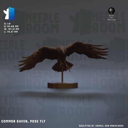 The image is a 3D rendering of a Common Raven, a pose fly, displayed on a stand. The background features the repeating text "MEIPLE ROOM" in various sizes and orientations, creating a pattern that covers the entire image.