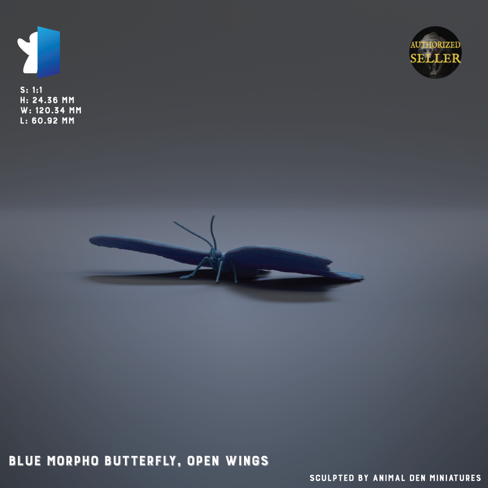 A blue butterfly with open wings is shown against a dark background.