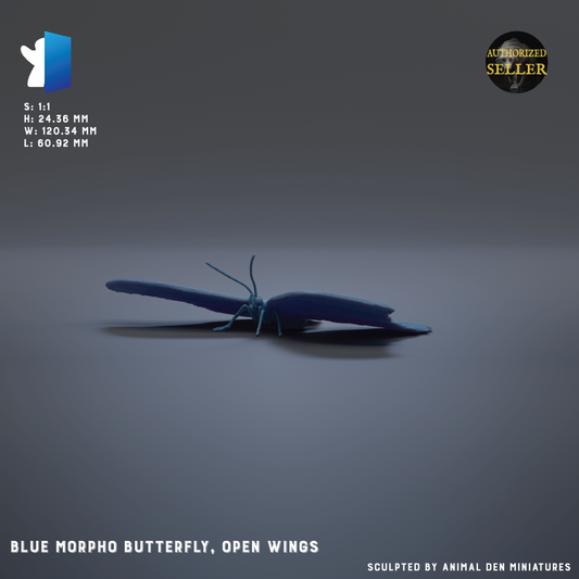 A blue butterfly with open wings is shown against a dark background.