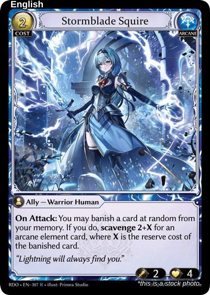 Stormblade Squire