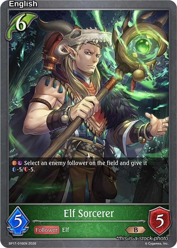 Elf Sorcerer