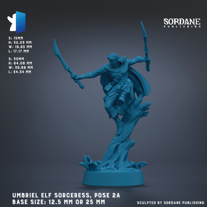 The image is a 3D rendering of a figurine of an elf-like character, possibly a witch or magical being, posed in a dynamic stance with two swords in hand. The figurine is set against a dark background, and the image size is either 12.5 mm or 25 mm. The base size is either 2.5 mm or 25 mm. The image is published by Sordane Publishing.