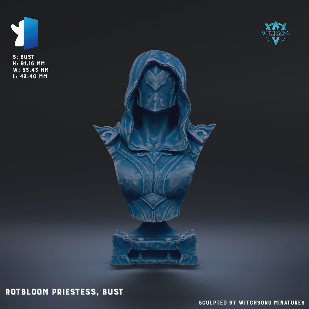 a bust of a person wearing a hooded robe, likely representing a deity or a character from a fantasy or science fiction setting.