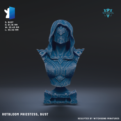 a bust of a person wearing a hooded robe, likely representing a deity or a character from a fantasy or science fiction setting.