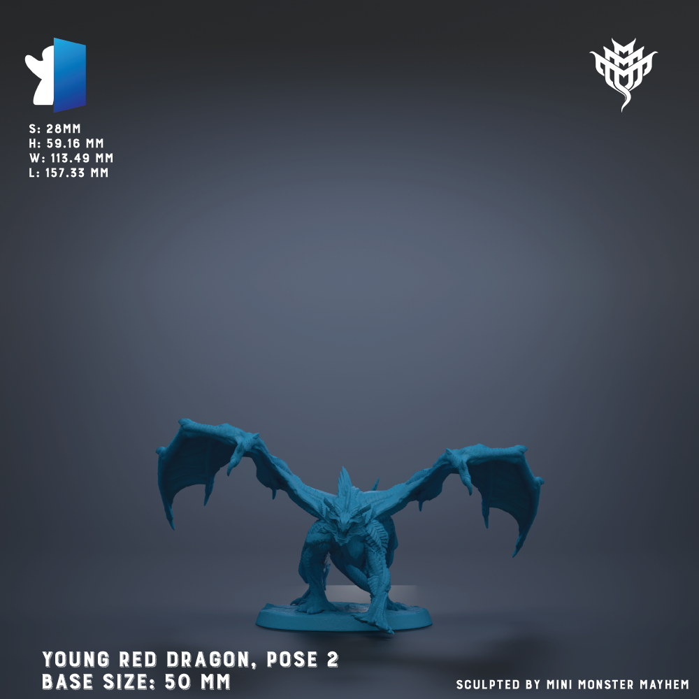 a young red dragon statue posed in a dynamic stance, with its wings spread wide. The dragon is depicted in a crouching position, giving it a sense of power and movement. The statue is set against a dark background, which contrasts with the vibrant color of the dragon. The image is a 3D rendering of the dragon statue, and it is described as a "young red dragon" and "pose 2" in the provided text. The base size of the statue is 50 millimeters.