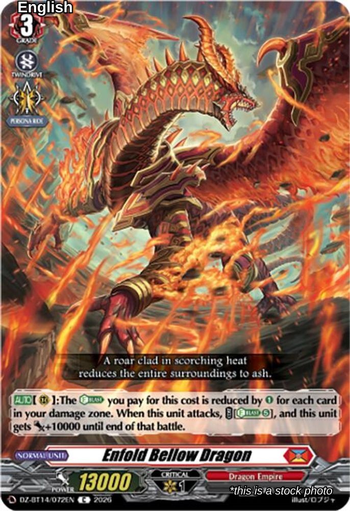 Enfold Bellow Dragon