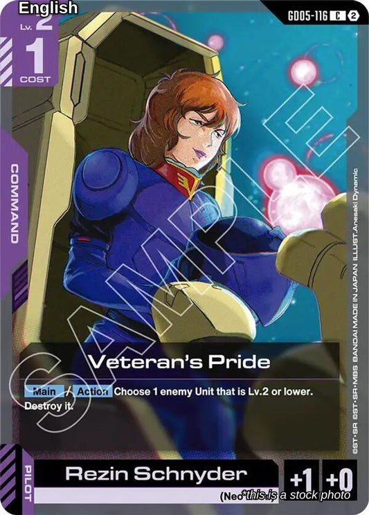 Veteran's Pride
